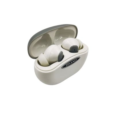 Rechargeable wireless Hearing Aids with Noise reduction Technology