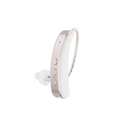 RIC Invisible Hearing Aids With Bluetooth DSP 3.7V Noise Blocking Hearing Aids 9 Level