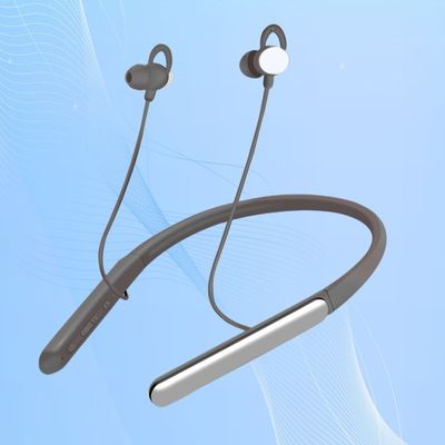 Bluetooth OTC Hearing Aid Amplifier 4 Programs Digital Sound Amplifier 5 Levels Volume