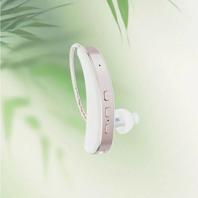 Programmable Settings Rechargeable Hearing Aids with SOC Digital Chip 9 Level Adjustable