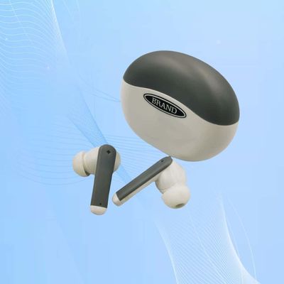 4 Programs OTC Hearing Aid With Noise Cancelling Up To 110dB  Output