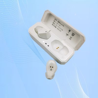 Rechargeable Hearing Aid With Echo Suppression and Speech Enhancement