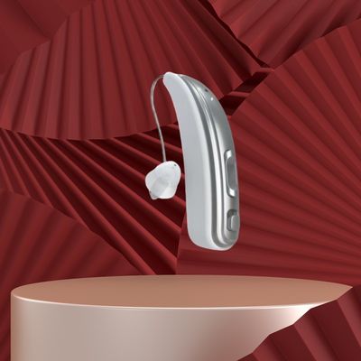 BTE Invisible OTC Hearing Aids Noise Cancelling Ultraviolet Disinfection Rechargeable Hearing Amplifier