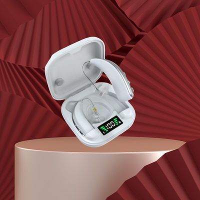 BTE Invisible OTC Hearing Aids Noise Cancelling Ultraviolet Disinfection Rechargeable Hearing Amplifier